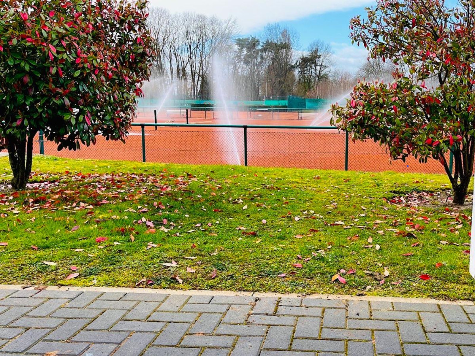 Platzwartservice Tennisplatz